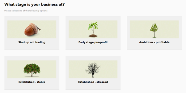 Screenshot of the Business Finance Guide